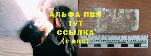 мдпв Ладушкин