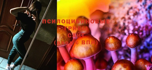 мдпв Ладушкин